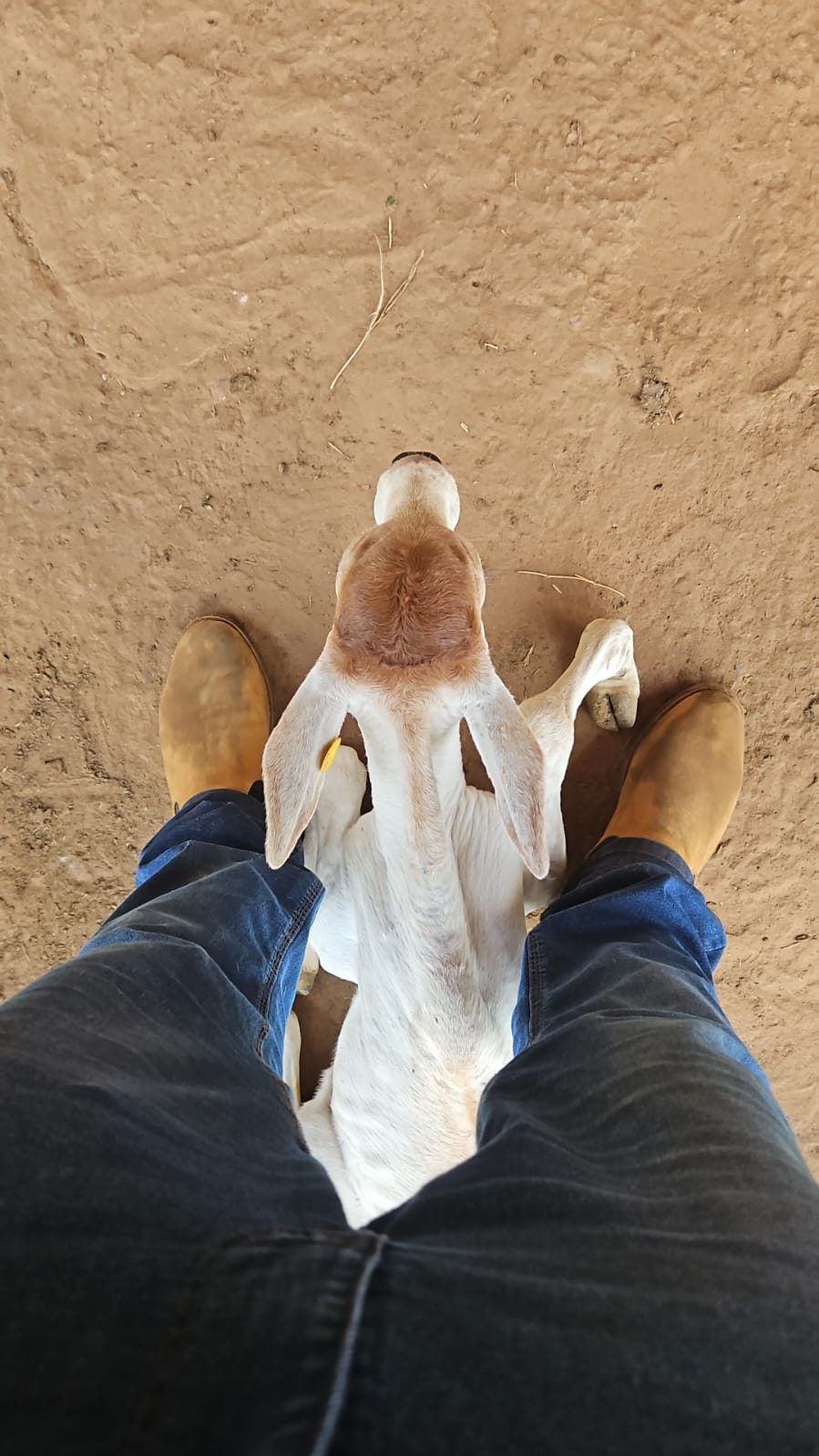 Foto